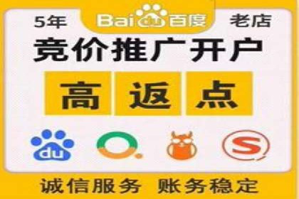某企业SEM广告投放的转化率提升秘诀